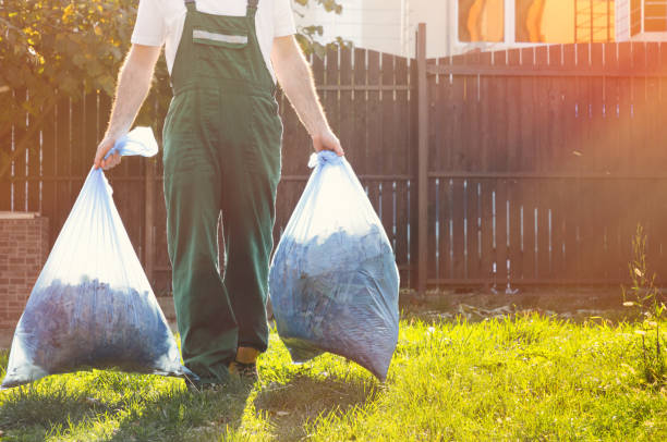 Best Shed Removal  in Morenci, MI